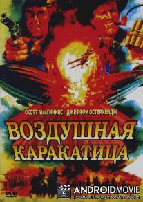 Воздушная каракатица / Sky Bandits