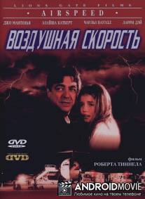 Воздушная скорость / Airspeed