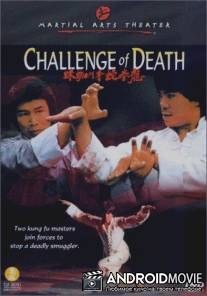 Вызов смерти / Long quan she shou dou zhi zhu