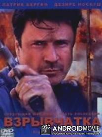 Взрывчатка / High Explosive