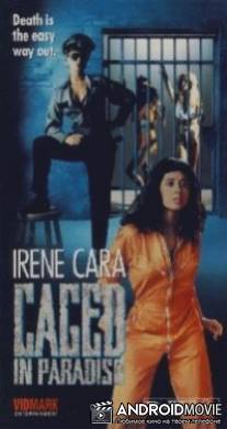 Заключенные на острове Рай / Caged in Paradiso