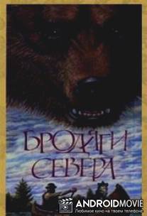 Бродяги Севера / Brodyagi Severa