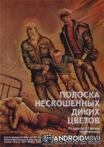 Полоска нескошенных диких цветов / Poloska neskoshennych dikikh tsvetov
