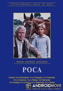 Роса / Rosa