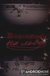 Воробей на льду / Vorobey na ldu