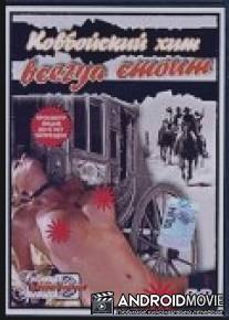 Ковбойский хит всегда стоит / Western Nights