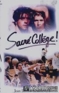 Святой колледж / Sacre college!