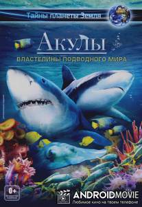 Акулы 3D: Властелины подводного мира / Sharks 3D: Kings of the Ocean