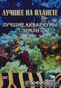 Animal Planet: Лучшие аквариумы земли / Animal Planet