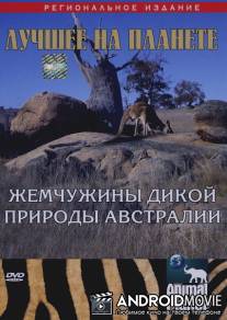 Animal Planet: Жемчужины дикой природы Австралии / Australian Wildlife Encounters
