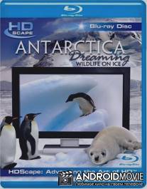 Антарктика - Дикая жизнь на льду / Antarctica Dreaming - WildLife On Ice