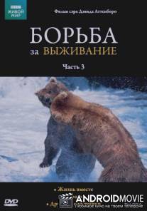 BBC: Борьба за выживание / Trials of Life, The
