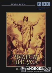BBC: Чудеса Иисуса / Miracles of Jesus, The