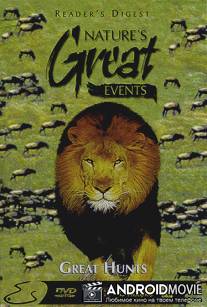 BBC: Чудеса живой природы: Великая охота / Nature's Great Events: Great Hunts