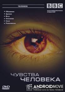 BBC: Чувства человека / Human Senses
