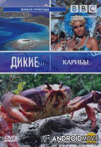 BBC: Дикие Карибы / Wild Caribbean