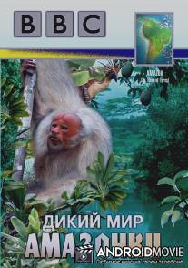 BBC: Дикий мир Амазонки / BBC: Amazon: The Flooded Forest