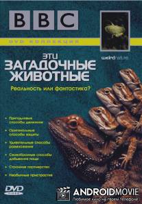 BBC: Эти загадочные животные / Weird Nature
