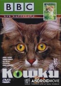 BBC: Кошки / Cats