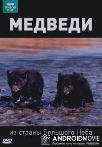 BBC: Медведи из страны большого неба / Big Sky Bears