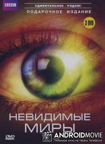 BBC: Невидимые миры / Richard Hammond's Invisible Worlds