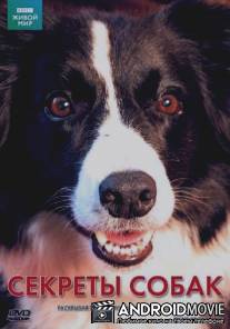BBC: Секреты собак / Secret Life of the Dog
