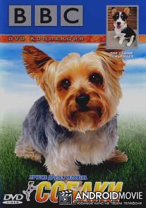 BBC: Собаки / BBC: The Canine Conspiracy