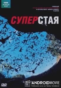 BBC: Суперстая / SuperSwarm: Nature's Incredible Invasions