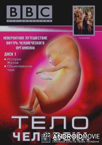 BBC: Тело человека / Human Body, The