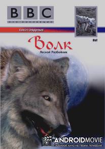 BBC: Волк / Wolf