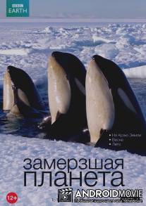 BBC: Замерзшая планета / Frozen Planet