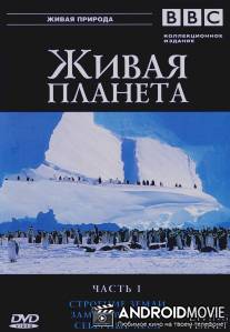 BBC: Живая планета / Living Planet, The