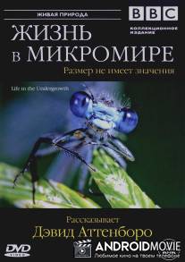 BBC: Жизнь в микромире / Life in the Undergrowth