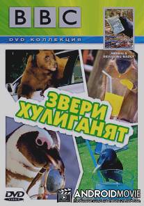 BBC: Звери хулиганят / Animals Behaving Badly
