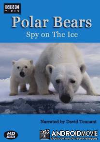 Белый медведь: Шпион во льдах / Polar Bears: Spy on the Ice