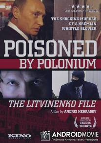 Бунт. Дело Литвиненко / Bunt. Delo Litvinenko