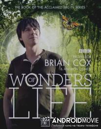 Чудеса жизни / Wonders of Life