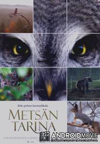 Чудесный лес / Metsan tarina
