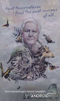 Девид Аттенборо. Курьезы природного мира / David Attenborough's Natural Curiosities