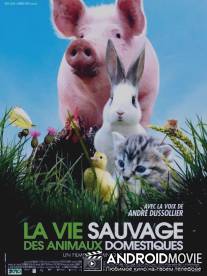 Дикая природа домашних животных / La vie sauvage des animaux domestiques