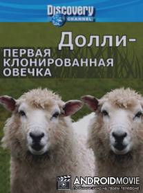 Discovery: Долли - первая клонированная овечка / Dolly: The First Cloned Sheep