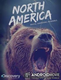 Discovery: Северная Америка / North America