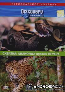 Discovery. Схватка: Анаконда против ягуара / Discovery: Animal Face-Off. Anaconda vs. Jaguar