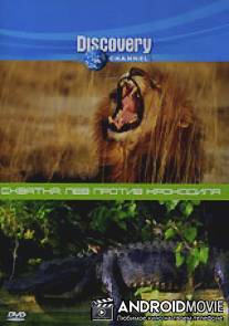 Discovery. Схватка: Лев против крокодила / Animal Face-Off: Lion vs. Nile crocodile