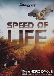 Discovery: Скорость жизни / Speed of Life