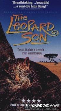 Discovery: Сын леопарда / Leopard Son, The