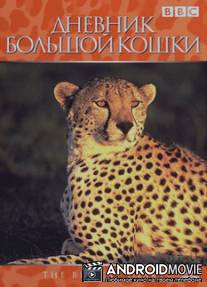 Дневник большой кошки / Big Cat Diary