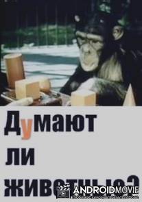 Думают ли животные? / Dumayut li zhivotnie