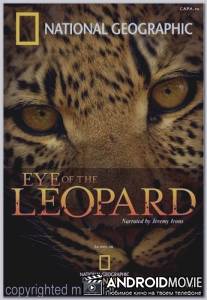 Глаз леопарда / Eye of the Leopard