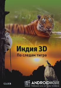 Индия 3D: По следам тигра